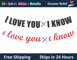 I Love You I Know | Hanging Letter Party Banner